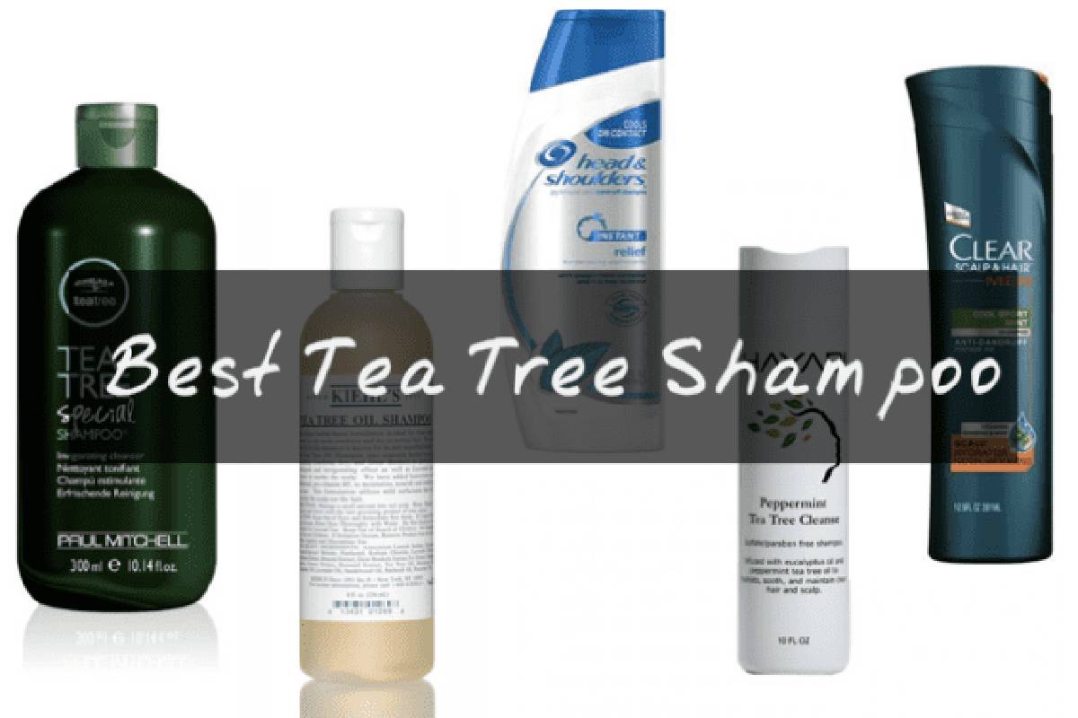 tea tree oil shampoo