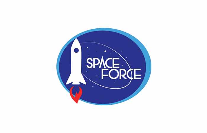 Space Force Logo