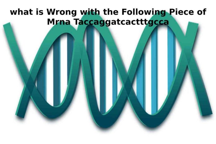 What is Wrong with the Following Piece of Mrna Taccaggatcactttgcca